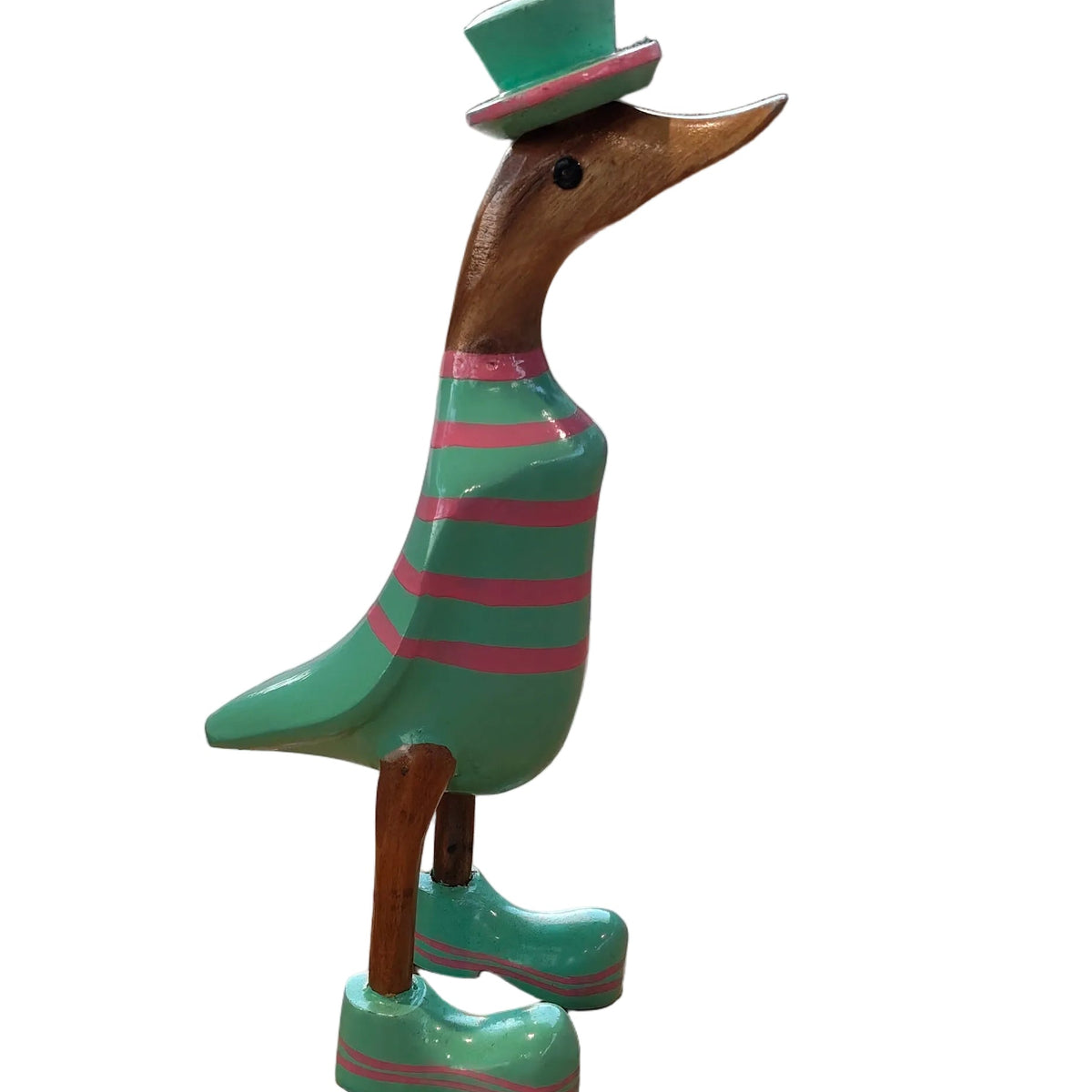 Duck -  Green and Pink