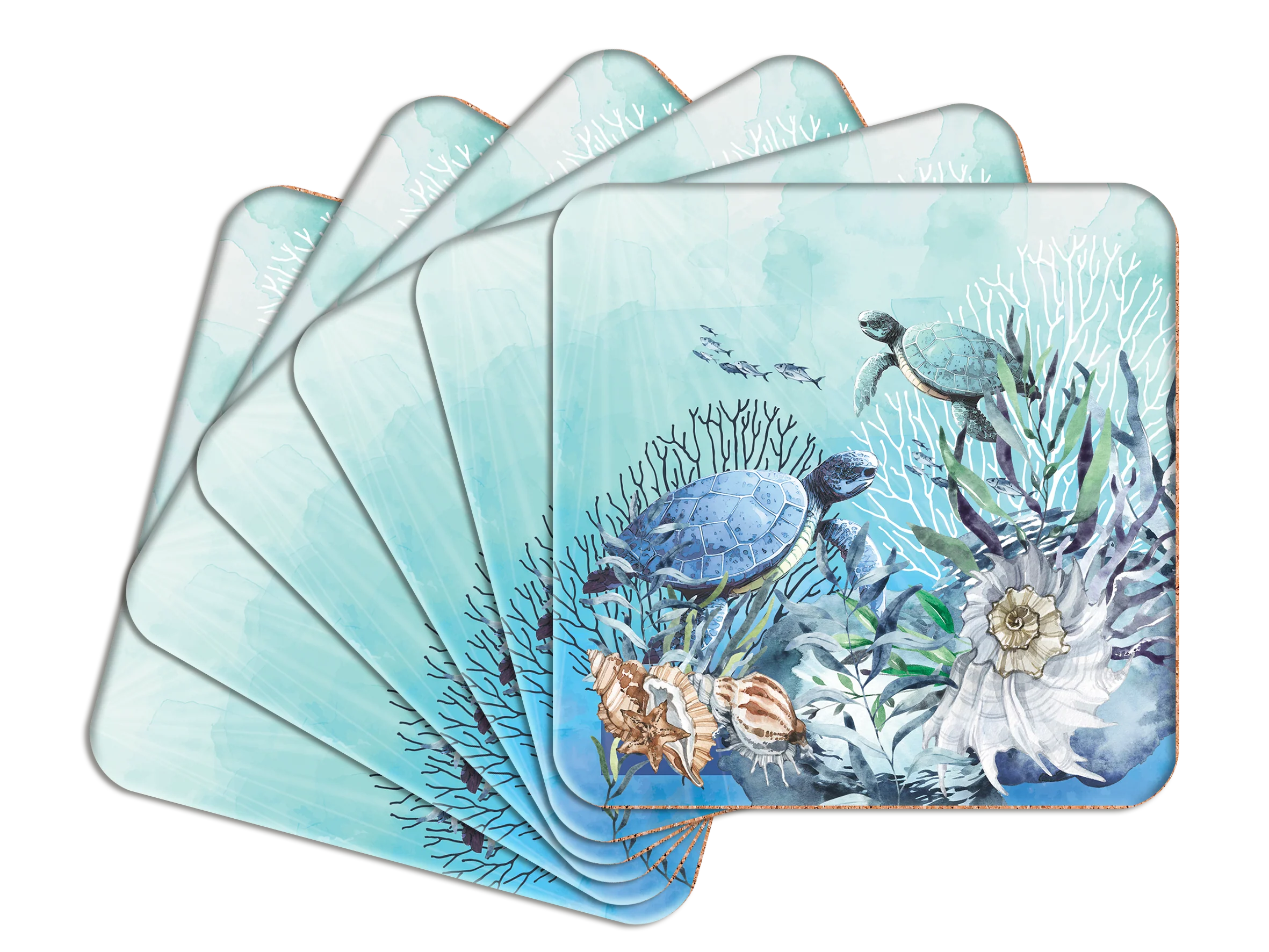 Turtle Coasters