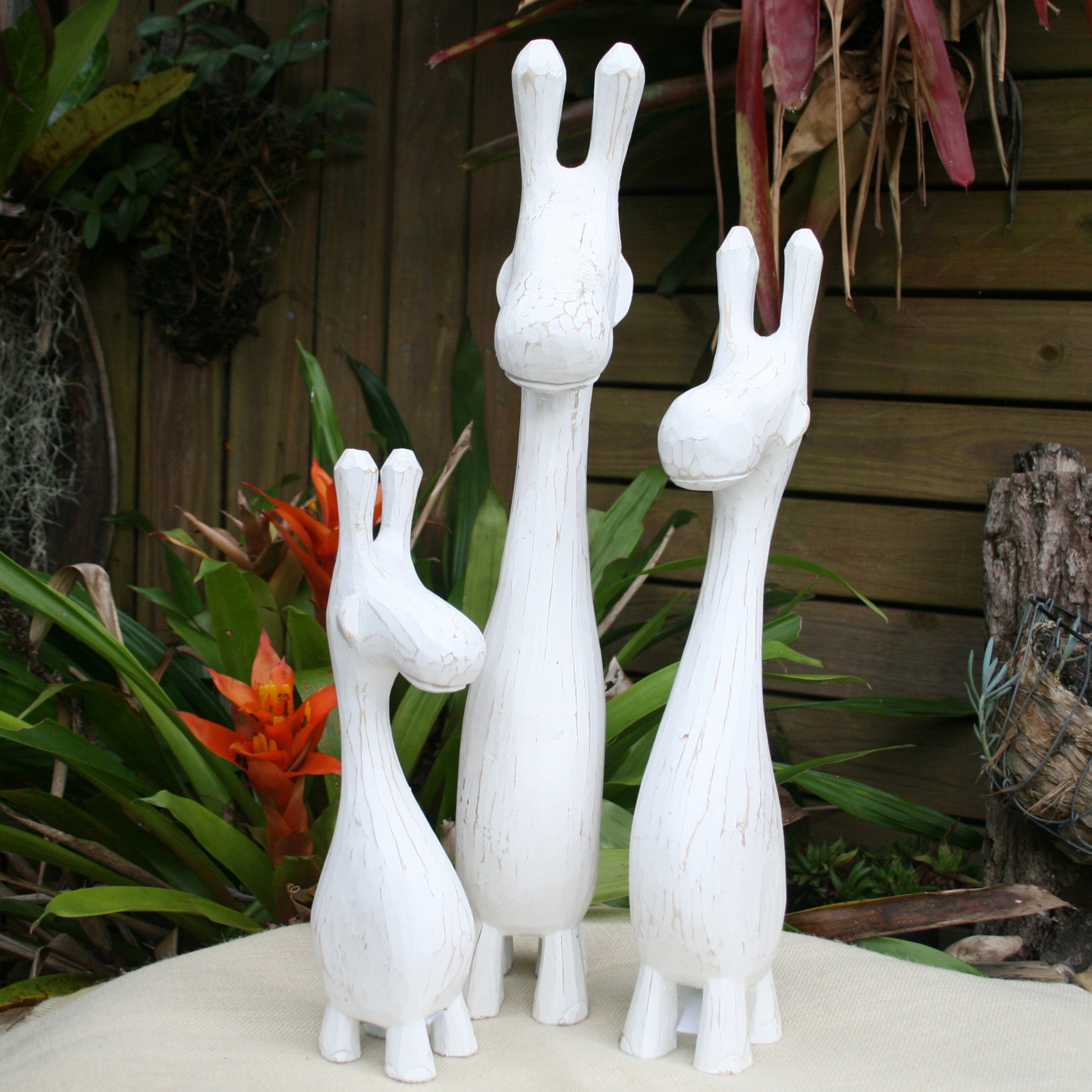 White Painted Giraffe