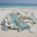 Sea Glass + Shells - Aqua + White