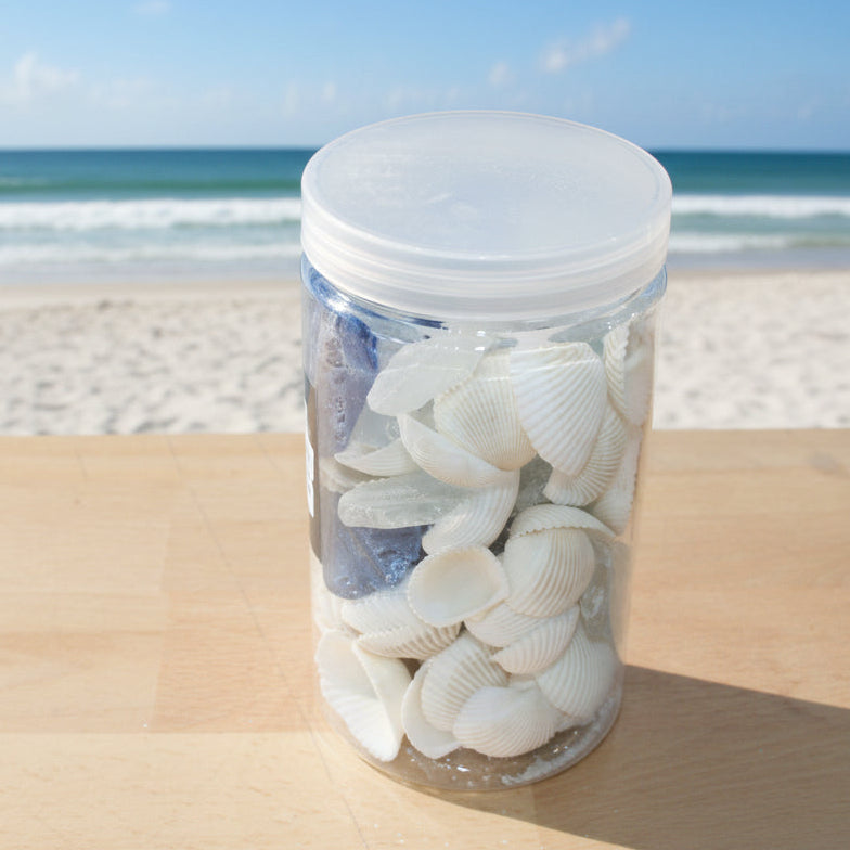 Sea Glass + Shells - Navy + White