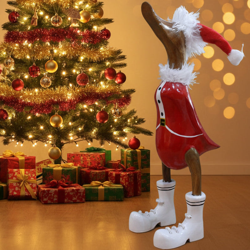 Duck - Christmas Duck  2