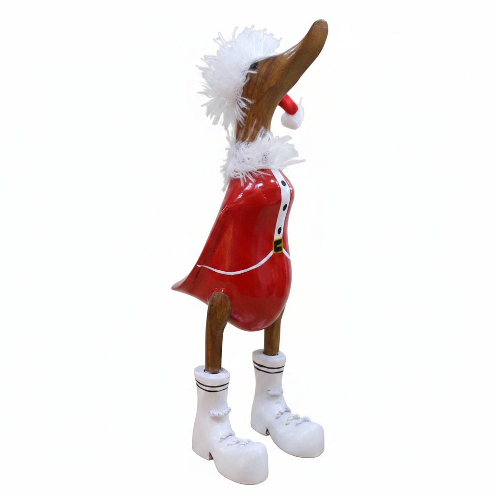 Duck - Christmas Duck  2